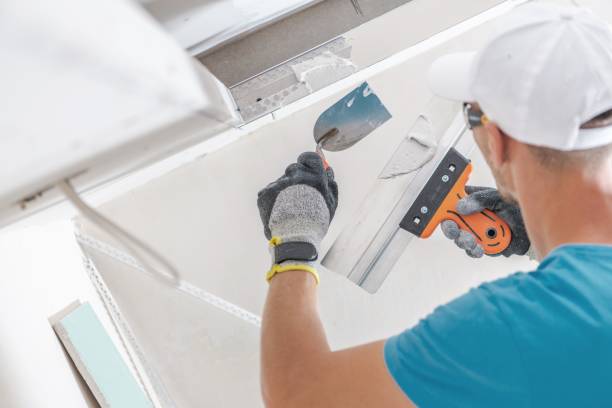 Best Drywall Removal and Disposal  in Naugatuck, CT